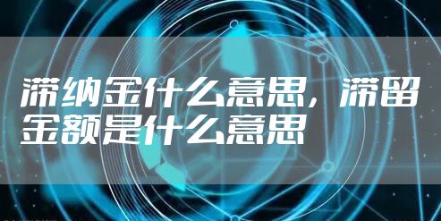 滞纳金什么意思，滞留金额是什么意思