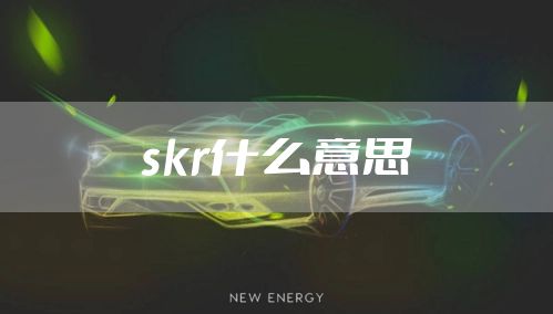 skr什么意思