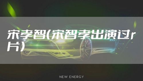 宋孝智（宋智孝出演过r片）