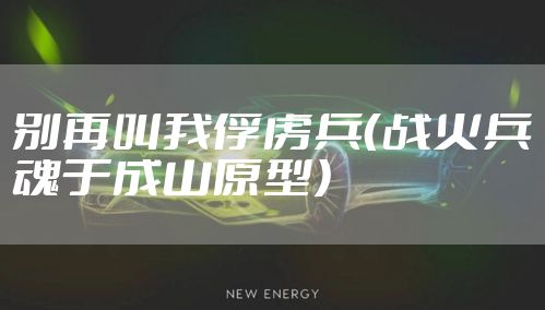 别再叫我俘虏兵（战火兵魂于成山原型）