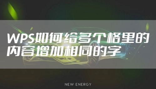 WPS如何给多个格里的内容增加相同的字