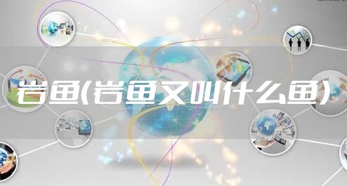 岩鱼（岩鱼又叫什么鱼）