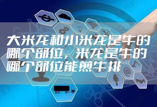 大米龙和小米龙是牛的哪个部位，米龙是牛的哪个部位能煎牛排