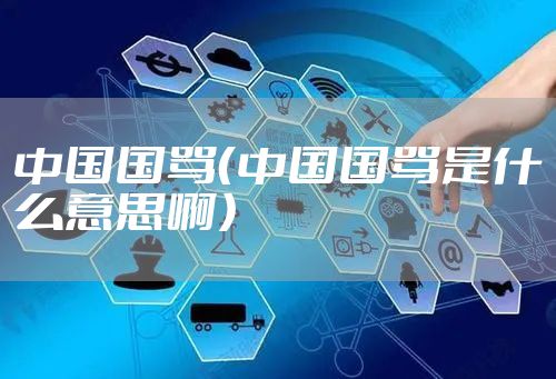 中国国骂（中国国骂是什么意思啊）
