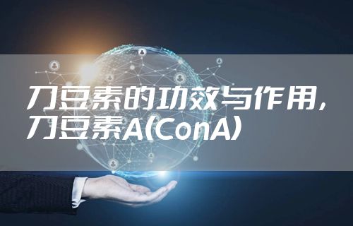 刀豆素的功效与作用，刀豆素A(ConA)