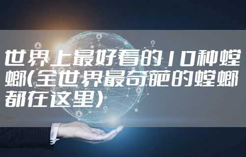 世界上最好看的10种螳螂（全世界最奇葩的螳螂都在这里）