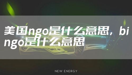 美国ngo是什么意思，bingo是什么意思