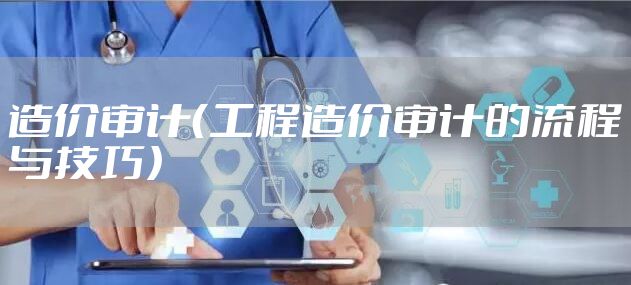 造价审计（工程造价审计的流程与技巧）