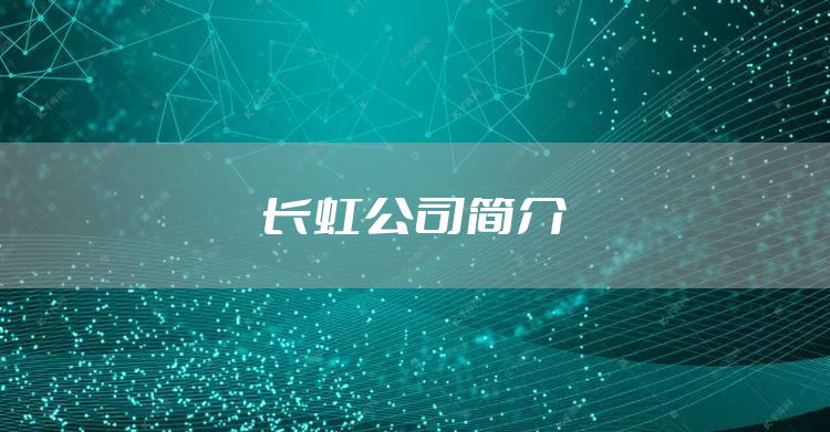 长虹公司简介