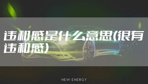 违和感是什么意思(很有违和感)