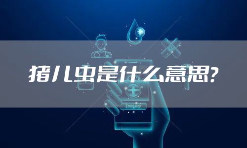 猪儿虫是什么意思？