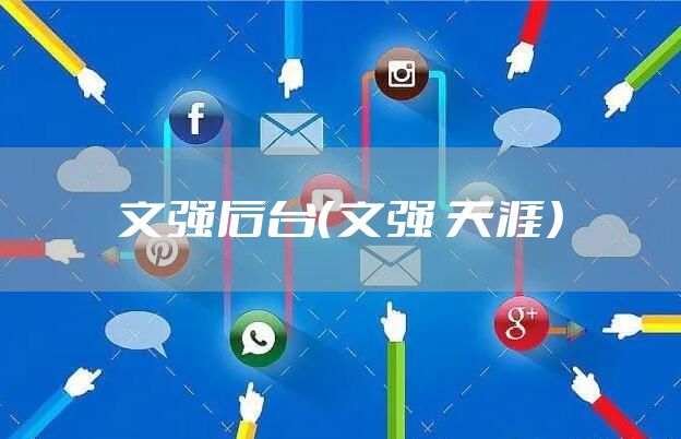 文强后台（文强 天涯）