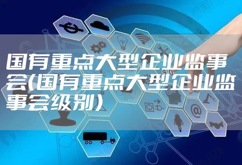 国有重点大型企业监事会（国有重点大型企业监事会级别）