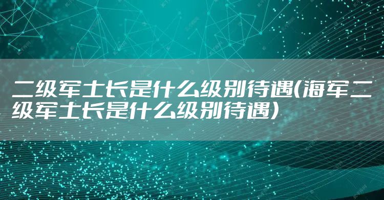 二级军士长是什么级别待遇（海军二级军士长是什么级别待遇）