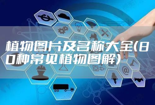 植物图片及名称大全（80种常见植物图解）
