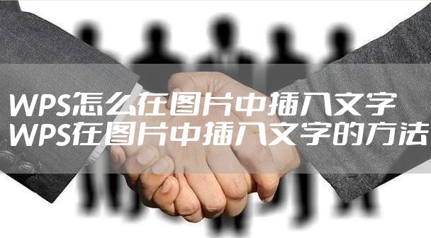 WPS怎么在图片中插入文字 WPS在图片中插入文字的方法