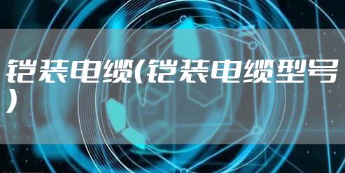 铠装电缆(铠装电缆型号)