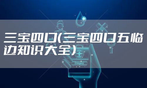 三宝四口（三宝四口五临边知识大全）