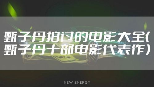 甄子丹拍过的电影大全（甄子丹十部电影代表作）