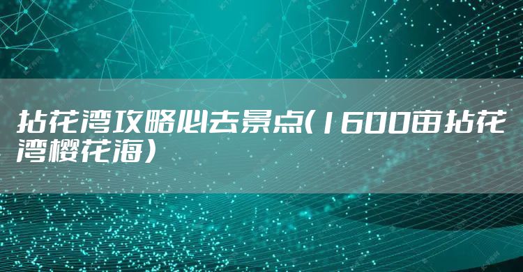 拈花湾攻略必去景点(1600亩拈花湾樱花海)