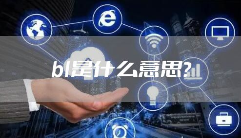 bl是什么意思？