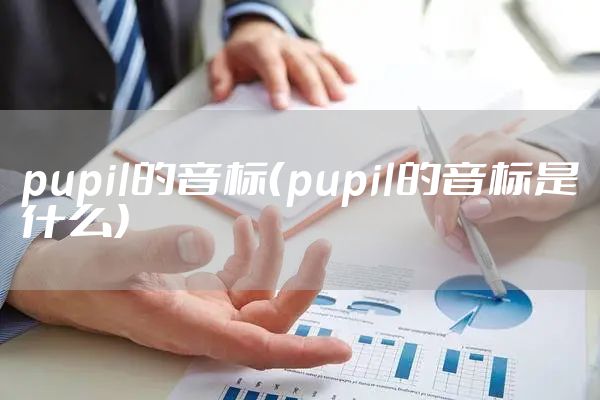 pupil的音标（pupil的音标是什么）