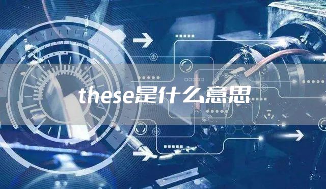 these是什么意思