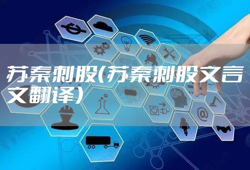 苏秦刺股(苏秦刺股文言文翻译)