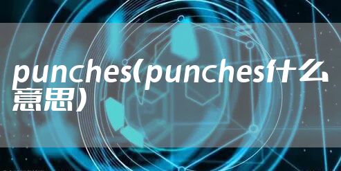 punches(punches什么意思)