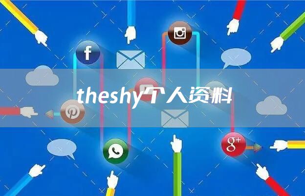 theshy个人资料