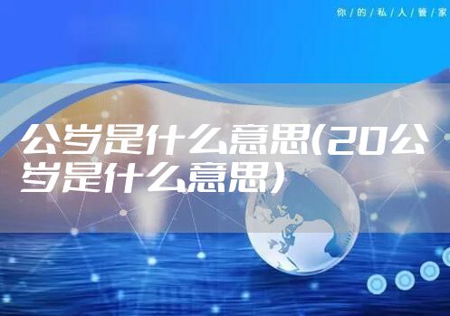 公岁是什么意思（20公岁是什么意思）