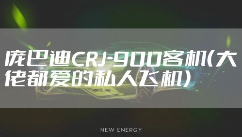 庞巴迪CRJ-900客机(大佬都爱的私人飞机)