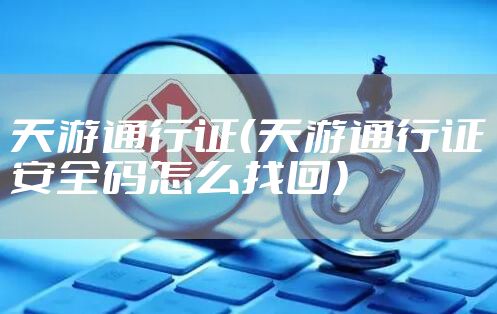 天游通行证（天游通行证安全码怎么找回）