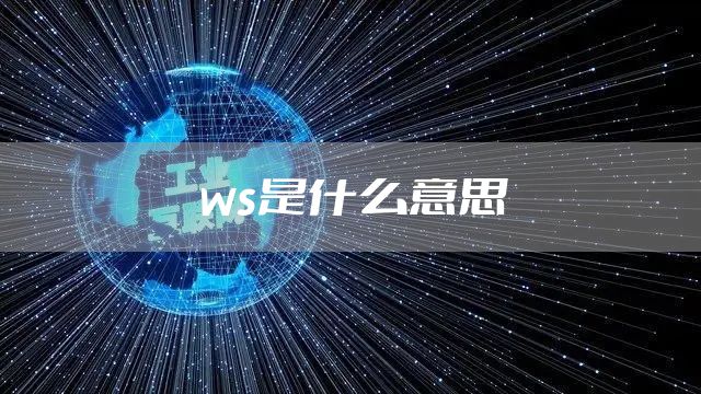 ws是什么意思