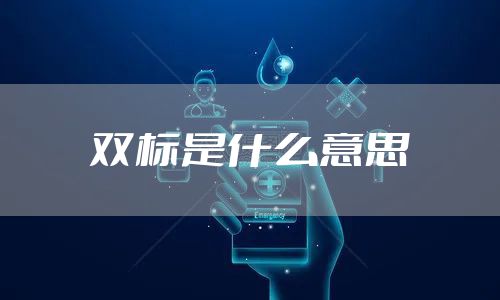 双标是什么意思