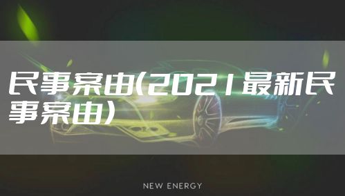 民事案由(2021最新民事案由)