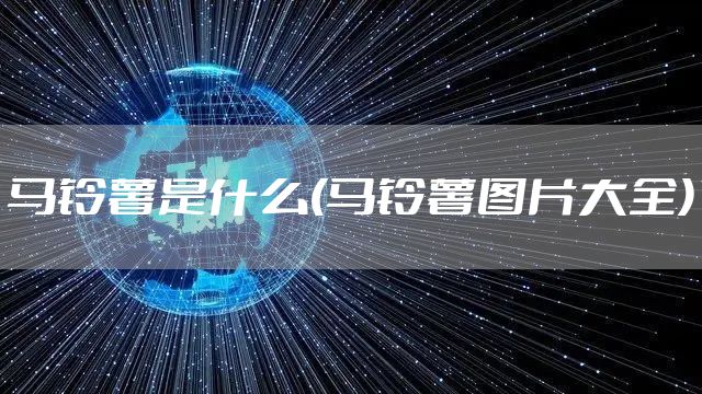 马铃薯是什么(马铃薯图片大全)