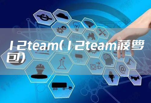 12team（12team菠萝包）