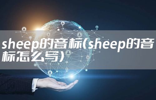 sheep的音标（sheep的音标怎么写）