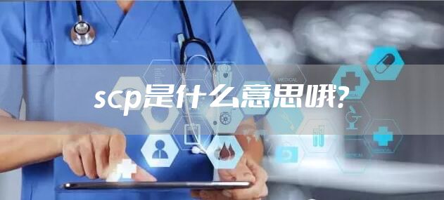 scp是什么意思哦？