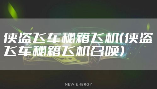 侠盗飞车秘籍飞机(侠盗飞车秘籍飞机召唤)