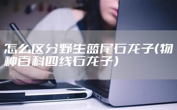 怎么区分野生蓝尾石龙子（物种百科四线石龙子）