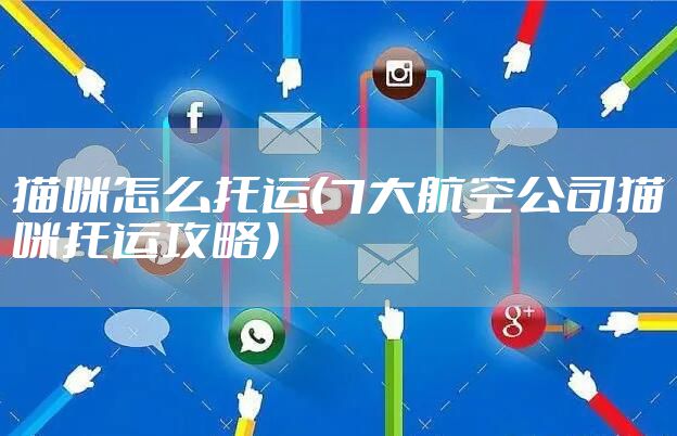 猫咪怎么托运（7大航空公司猫咪托运攻略）