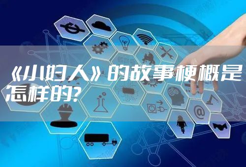 《小妇人》的故事梗概是怎样的？