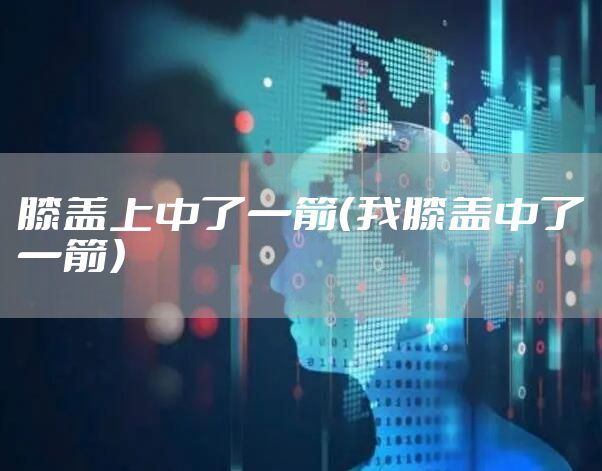 膝盖上中了一箭（我膝盖中了一箭）