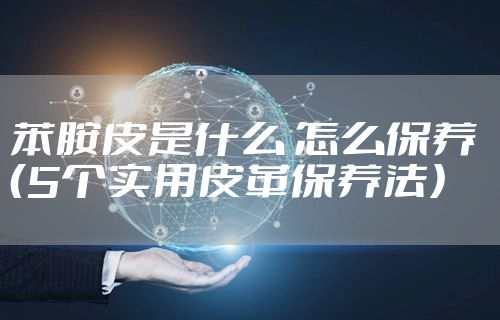 苯胺皮是什么 怎么保养 （5个实用皮革保养法）