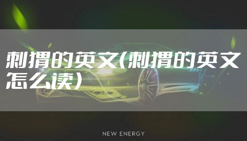 刺猬的英文(刺猬的英文怎么读)