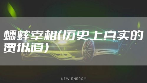 蟋蟀宰相（历史上真实的贾似道）