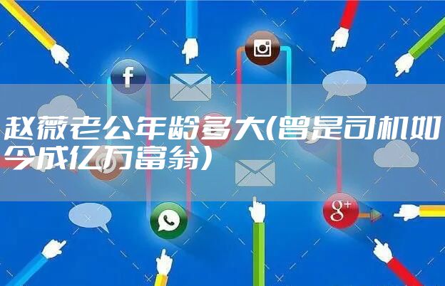 赵薇老公年龄多大（曾是司机如今成亿万富翁）