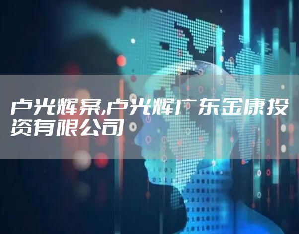 卢光辉案,卢光辉广东金康投资有限公司